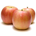 Manzana fuji ecológica - 600gr