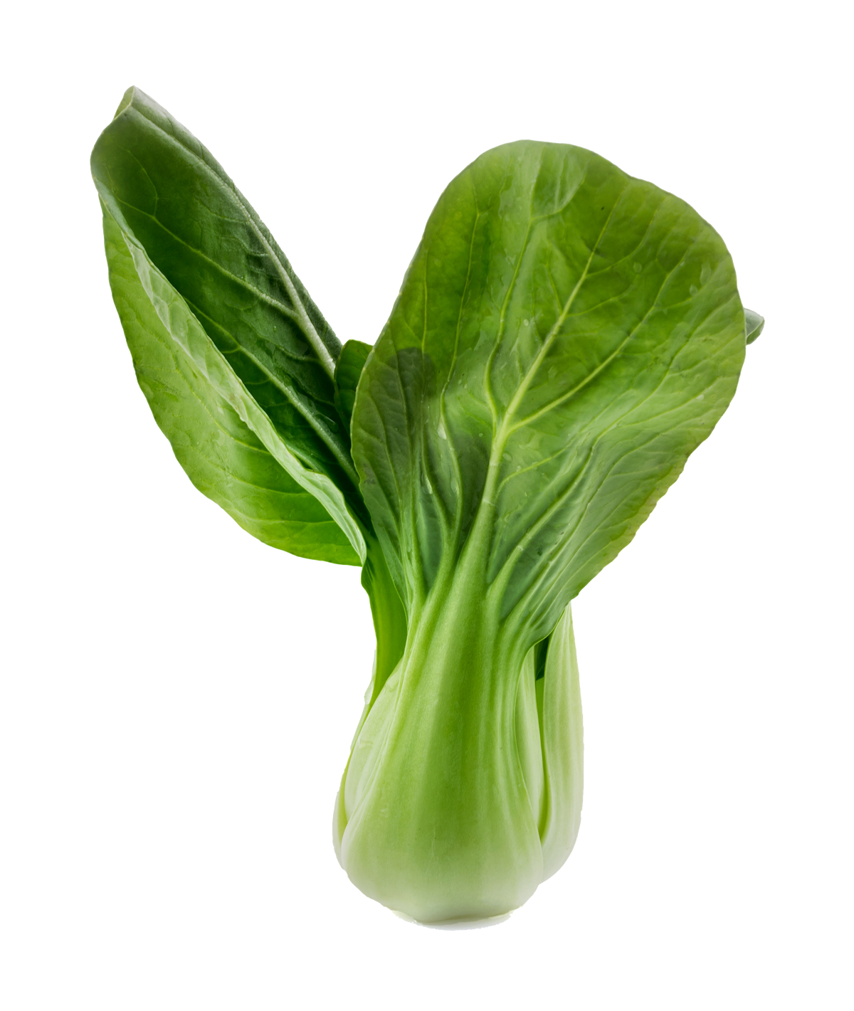 Pak Choi Verde - unidad