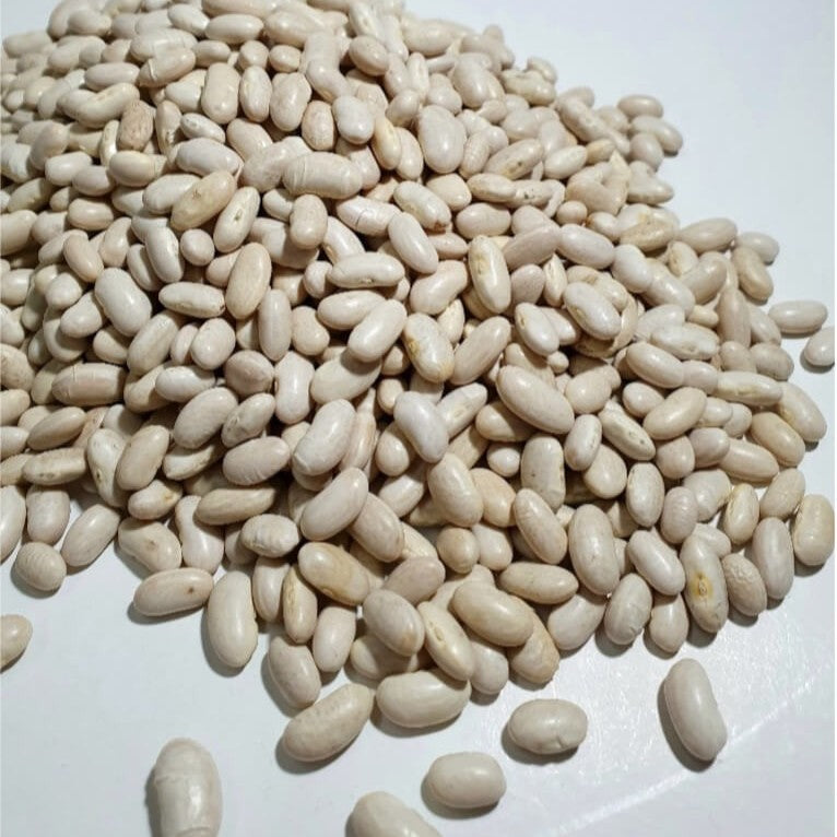 Alubia blanca riñón ecológica a granel - 500gr