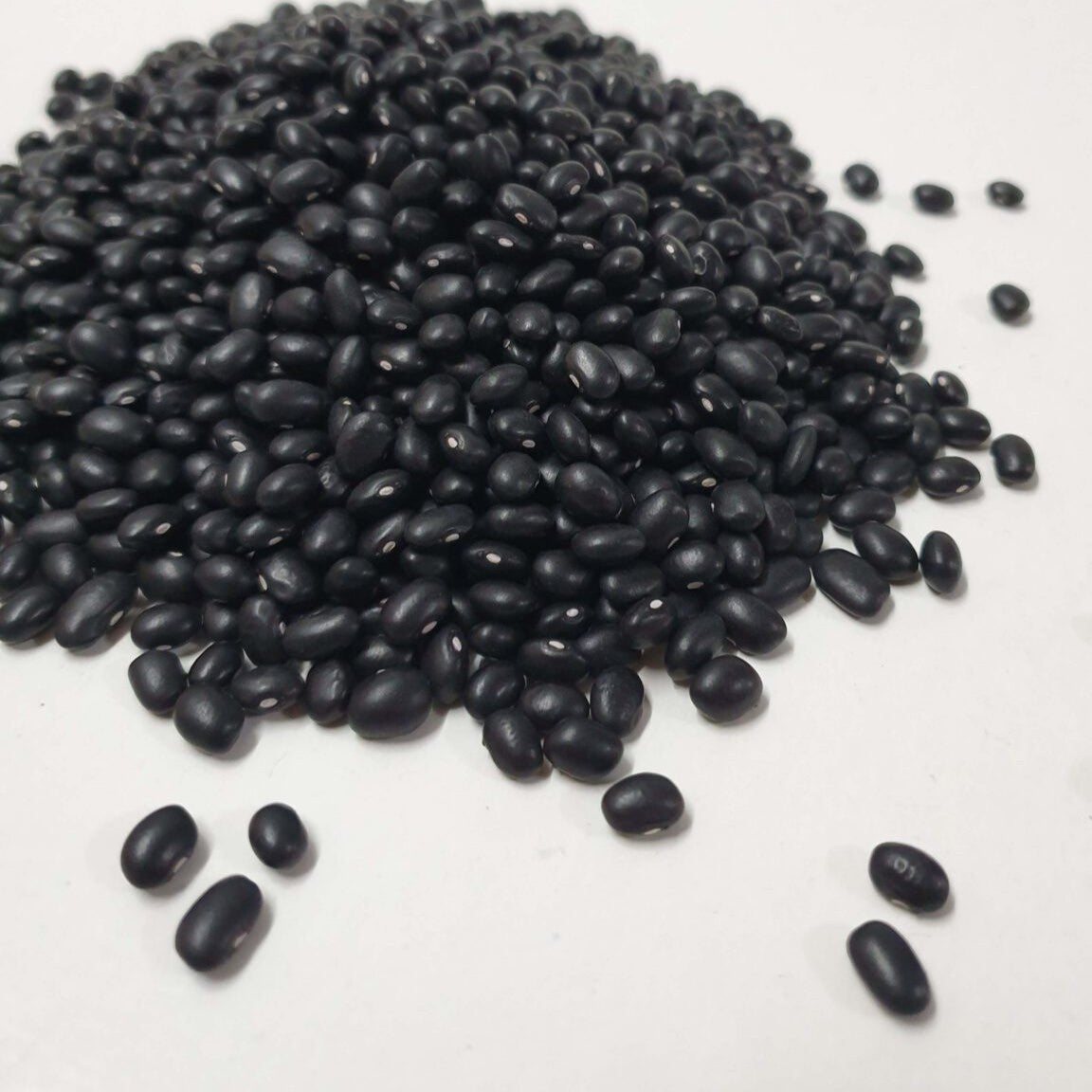 Alubia negra Basabura ecológica granel - 500gr