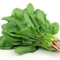 Espinaca ecológica - manojo 250-300gr