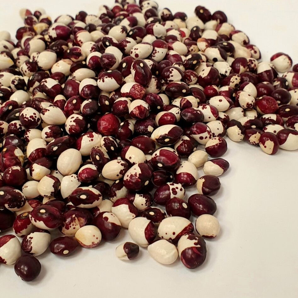 Alubia Alcaparrona Pinta Ecológica Granel - 500gr