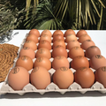 Huevos Ecológicos - Granel