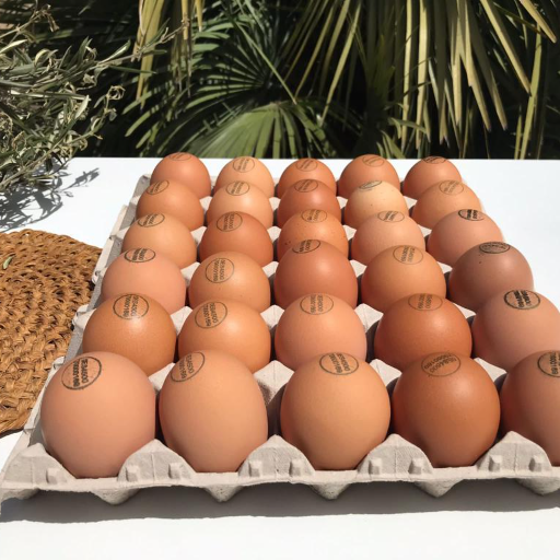 Huevos Ecológicos - Granel