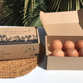 Huevos Ecológicos Estuchados - 6 unidades