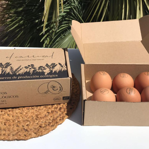 Huevos Ecológicos Estuchados - 6 unidades
