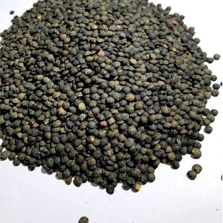 Lenteja Verdina de Puy Ecológica a granel - 500gr