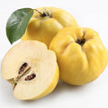 Membrillo ecológico - 1kg