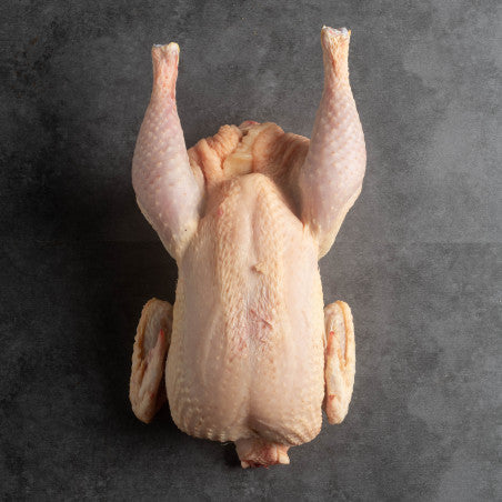 Pollo ecológico entero limpio de 2 a 2.5 kgs