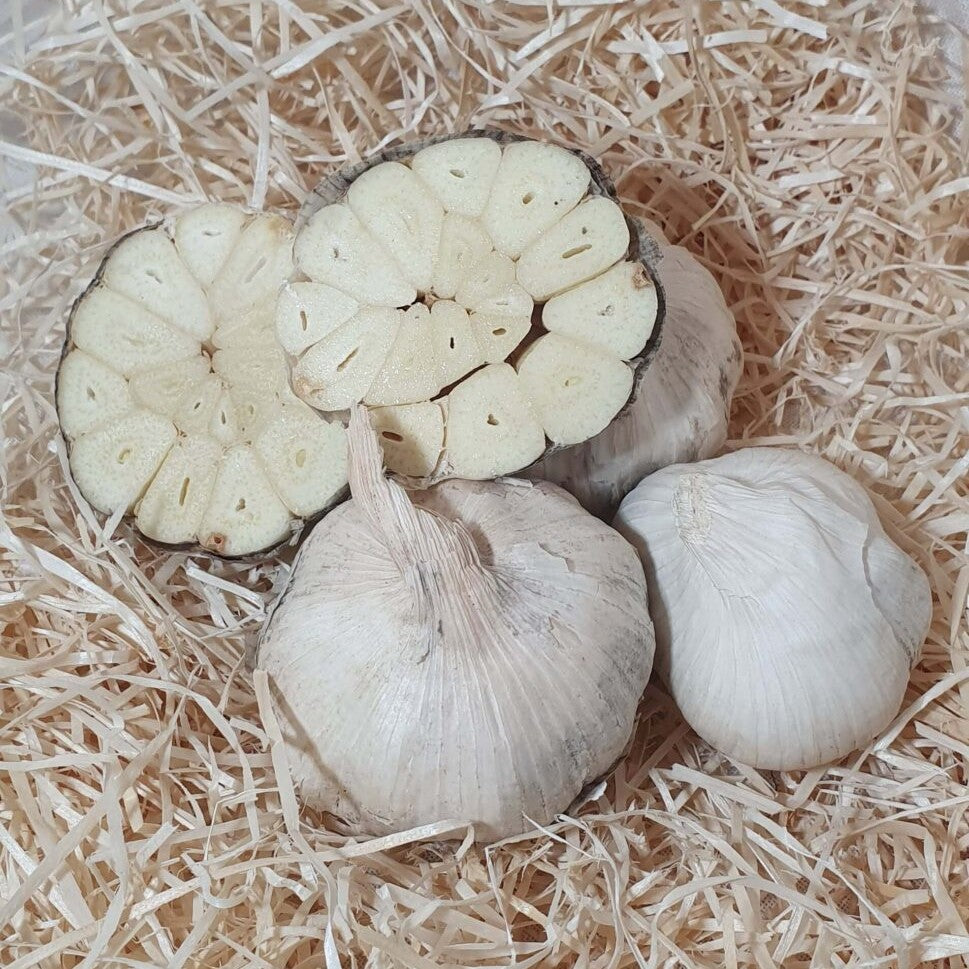 Ajo Ecológico - 250g