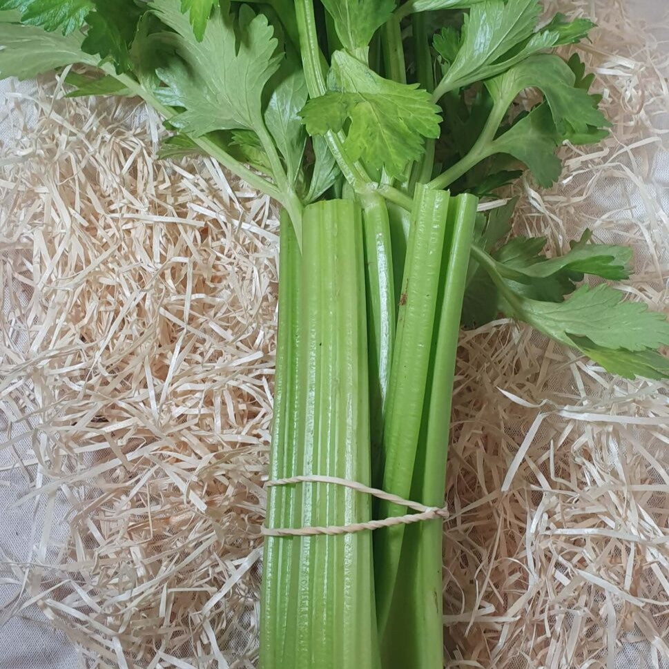 Apio Ecológico - 200gr