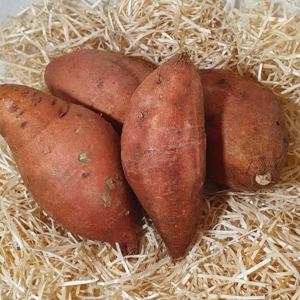 Boniato Naranja Ecológico - 500gr