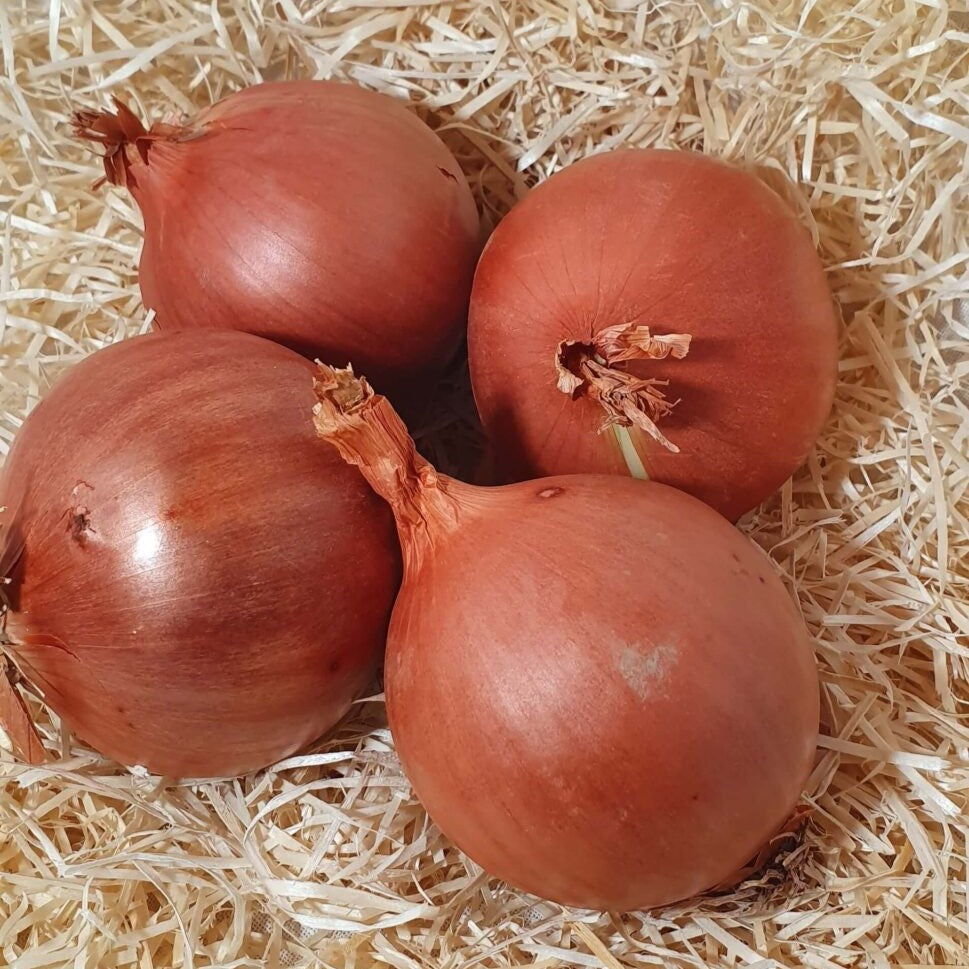 Cebolla Ecológica - 500gr