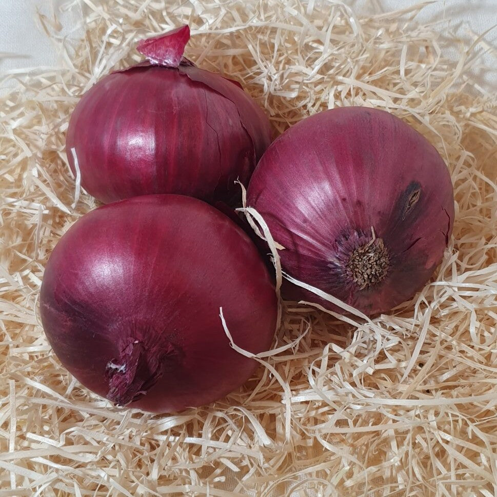 Cebolla Roja Ecológica - 500gr