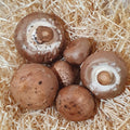 Champiñón portobello ecológico - 200gr
