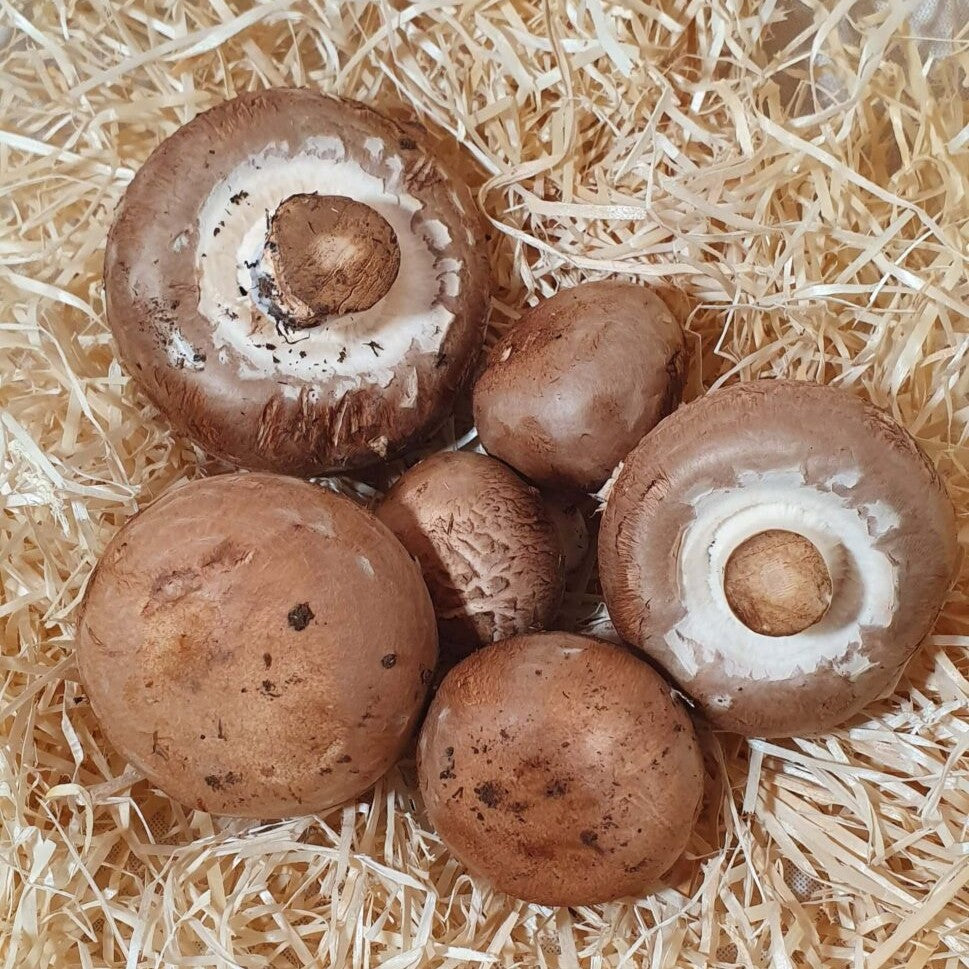 Champiñón portobello ecológico - 200gr