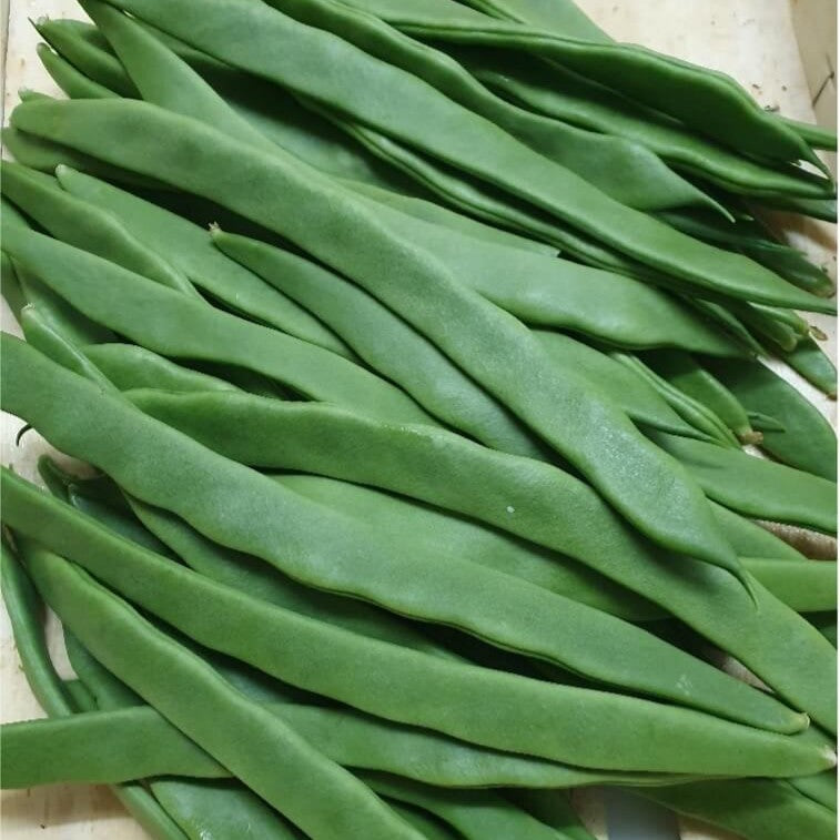 Judía verde plana ecológica - 250gr