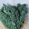 Kale Ecológico - 300gr