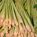 Lemongrass biodinámico - 100gr