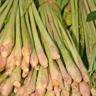 Lemongrass biodinámico - 100gr