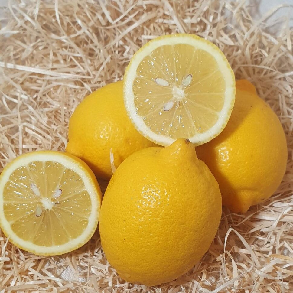 Limón ecológico - 500gr