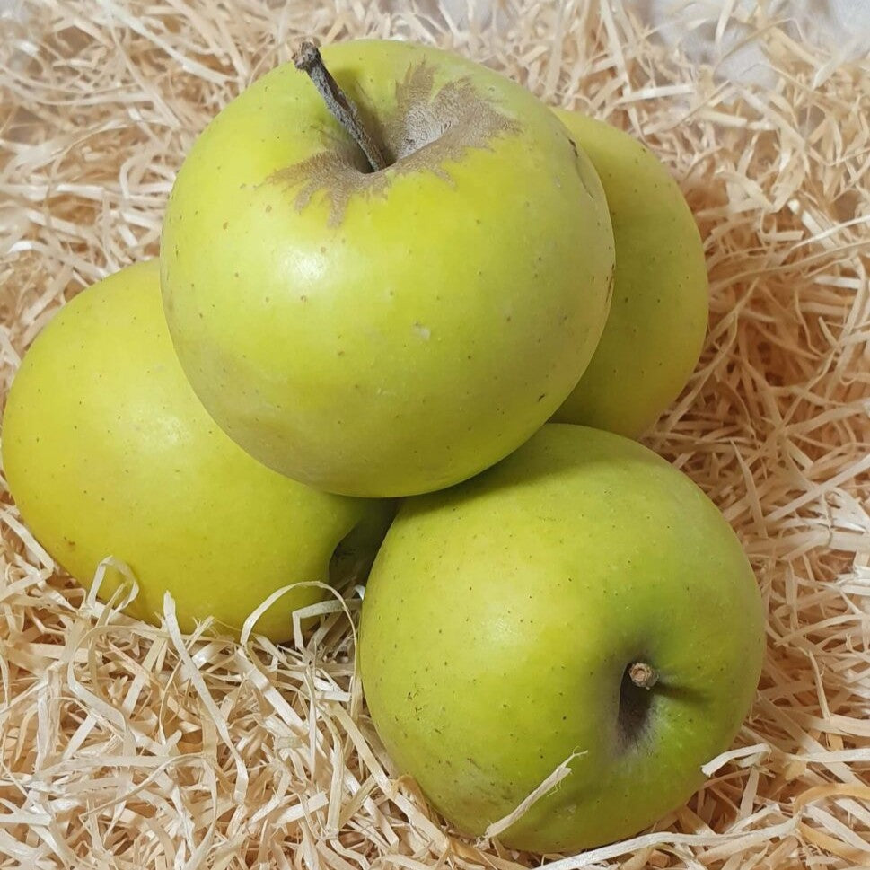 Manzana Golden ecológica - 500gr