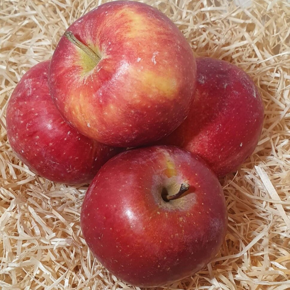 Manzana Royal Gala Ecologica - 500gr