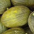 Melón piel de sapo ecológico - pieza 3kg aprox