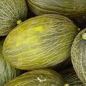 Melón piel de sapo ecológico - pieza 3kg aprox