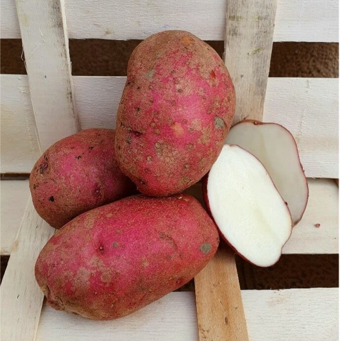 Patata Roja Ecológica - 1kg