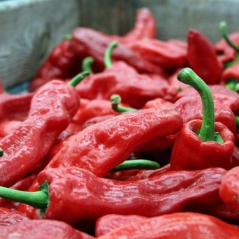 Pimiento rojo cristal ecológico - 250-300gr
