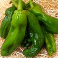 Pimiento verde cristal ecológico - 250gr