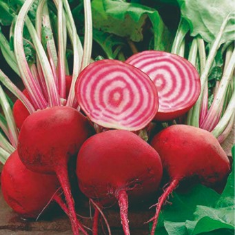 Remolacha Chioggia ecológica - 250-300gr