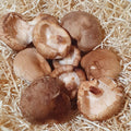 Seta Shitake ecológica - 200gr