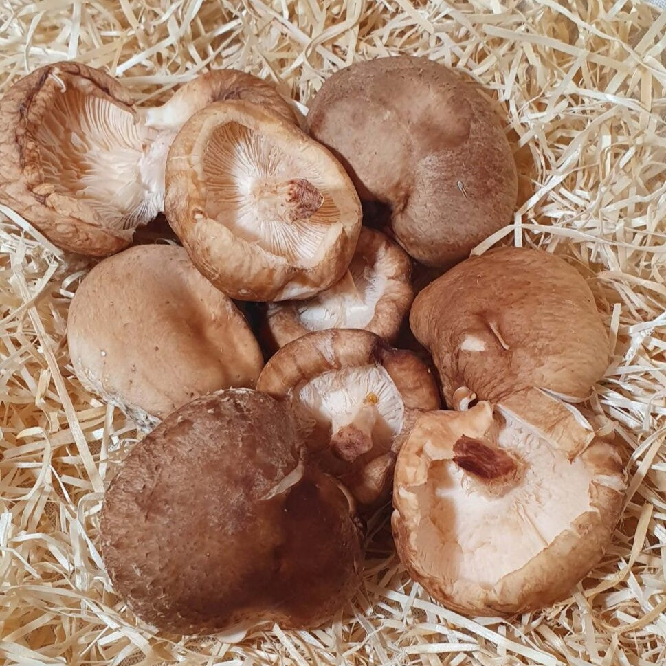 Seta Shitake ecológica - 200gr