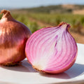 Cebolla de Figueras Ecológica - 500gr