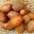 Patata baby para guarnición ecológica - 250gr